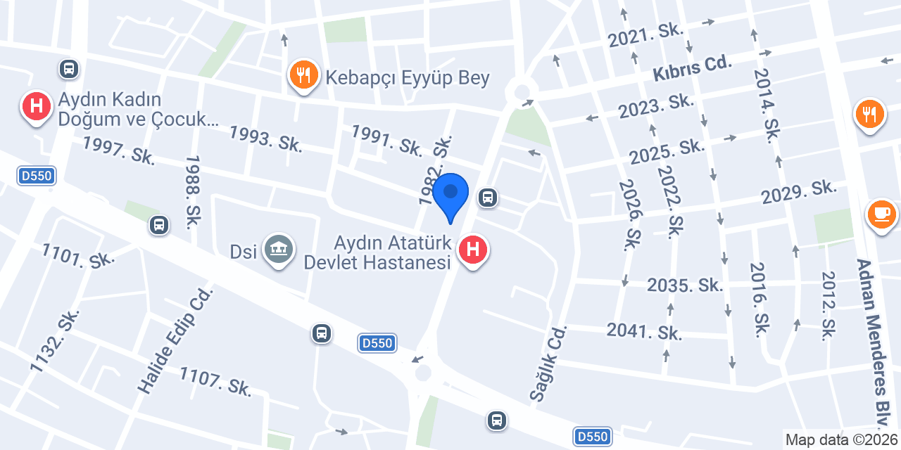 Aydın Seyyar Oto Lastikçi konumu