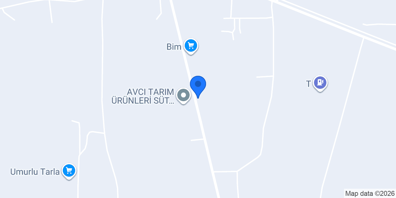 Yasincigimin yeri konumu