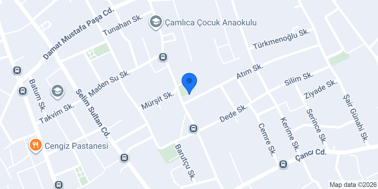 ÇİZGİ HALI YIKAMA konumu