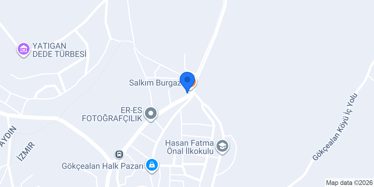 ali beyin yeri konumu