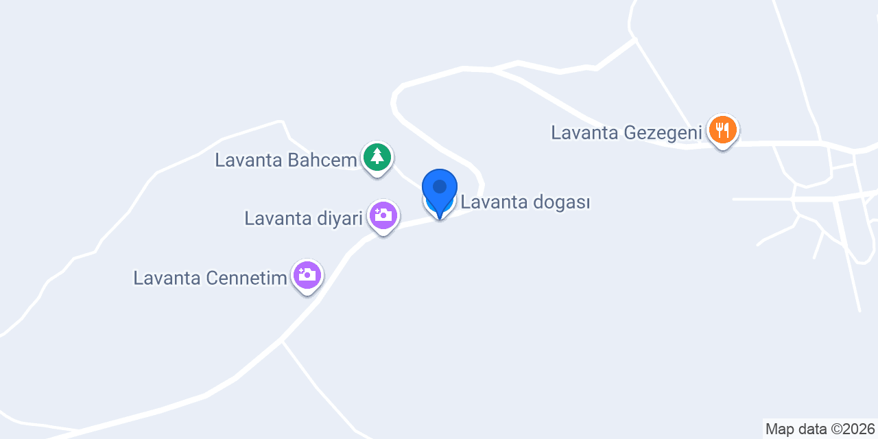 Lavanta dogası konumu