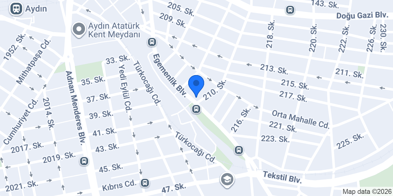 Efeler Organizasyon Aydın konumu