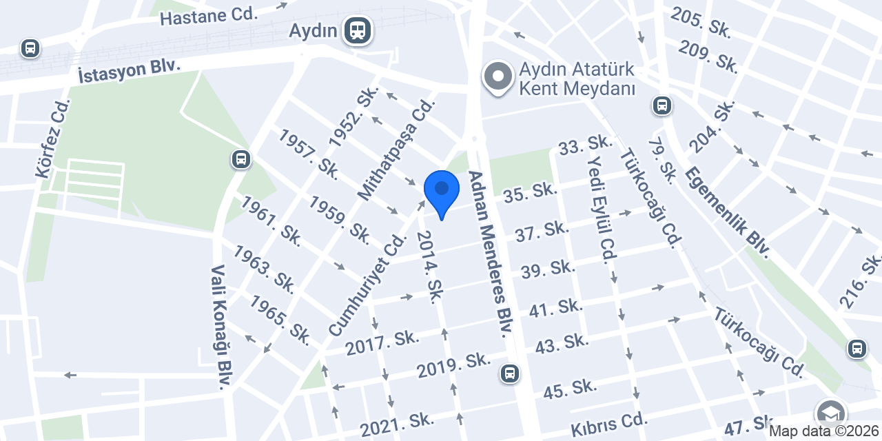 Tampa Yurtdışı Eğitim Aydın konumu