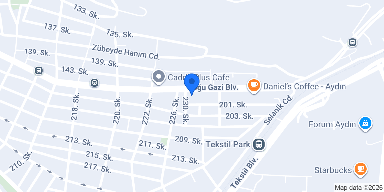 Pasaport Pizza Aydın Efeler konumu