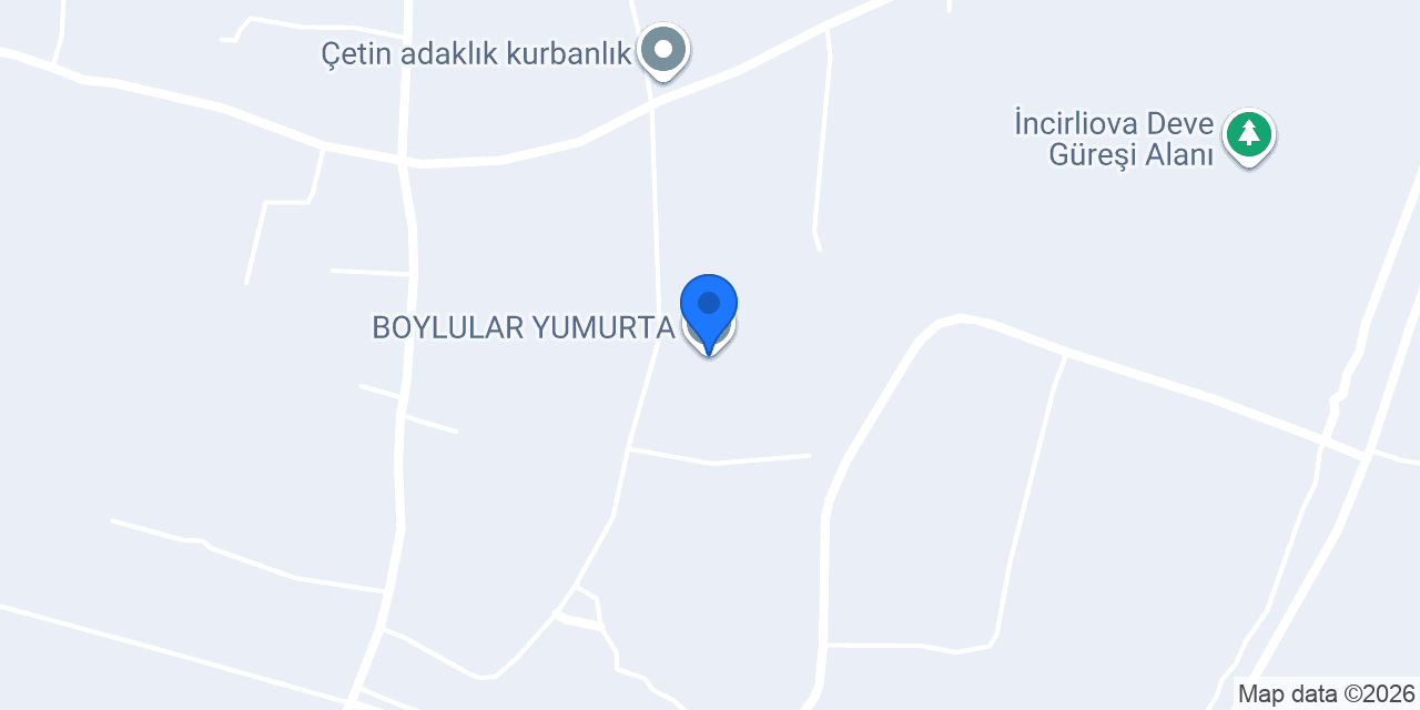 BOYLULAR YUMURTA konumu