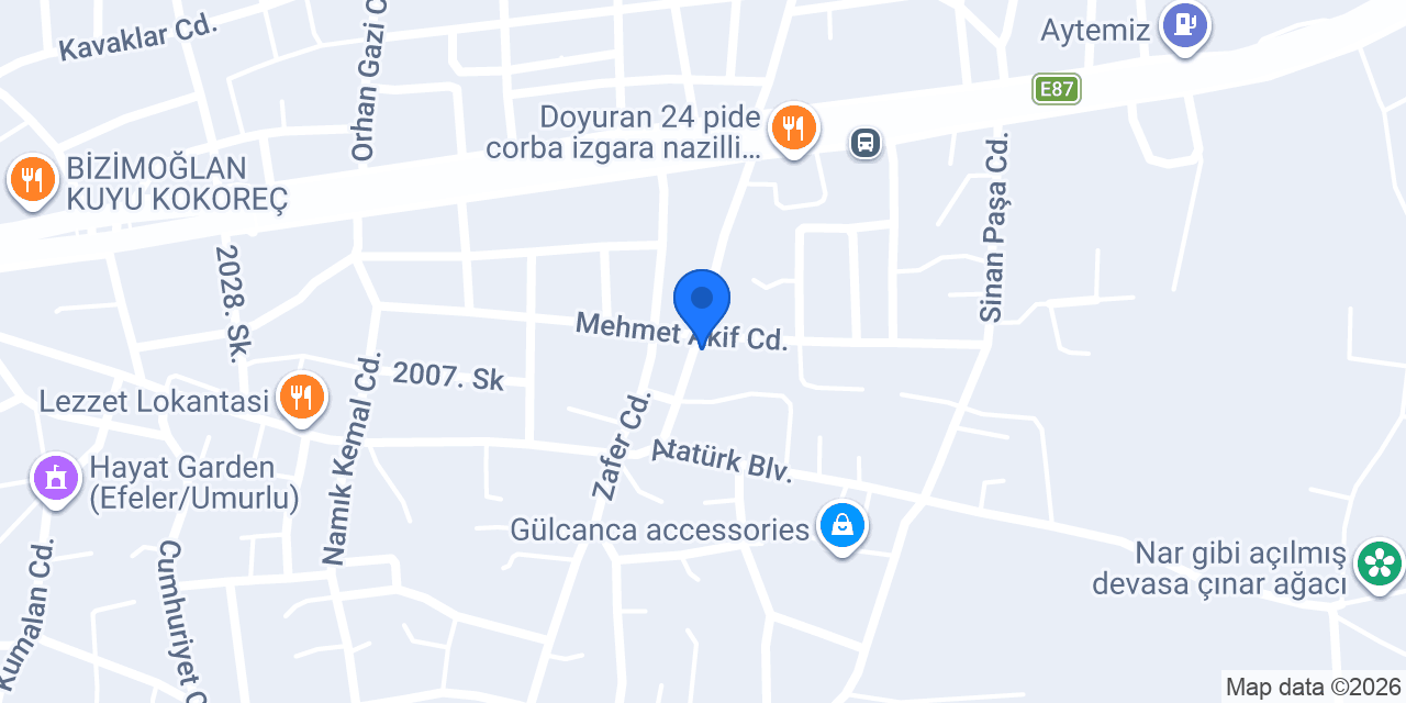 Erdoğan elektrik konumu