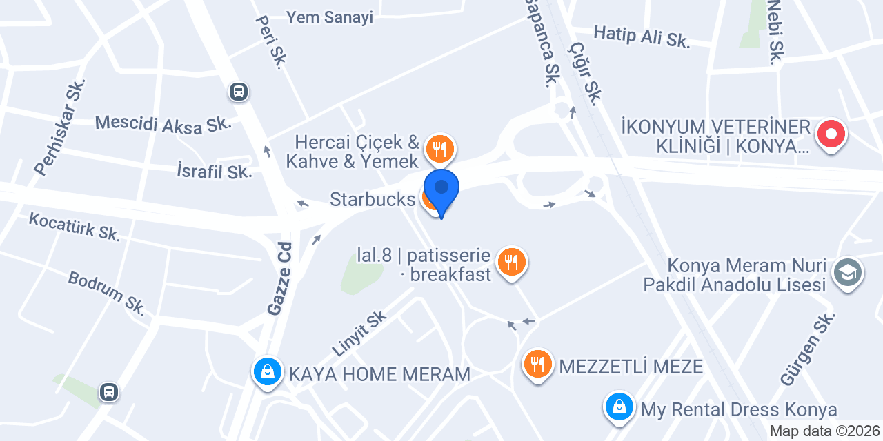 Dolphin kuru temizleme Tema Şehir konumu
