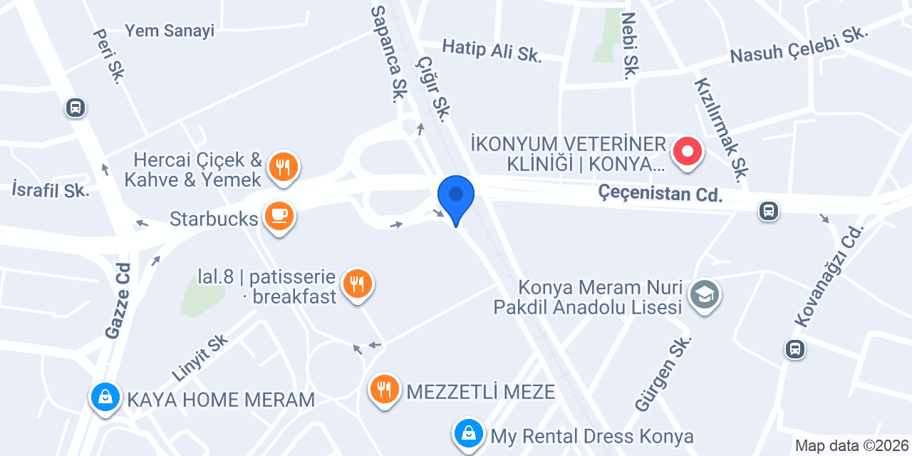 Juventus Academy Konya konumu
