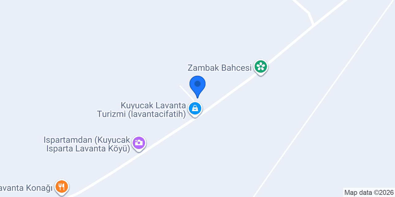 LAVANTA OBASI konumu