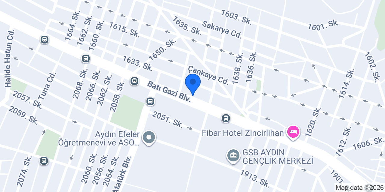 Halı Evi Aydın konumu
