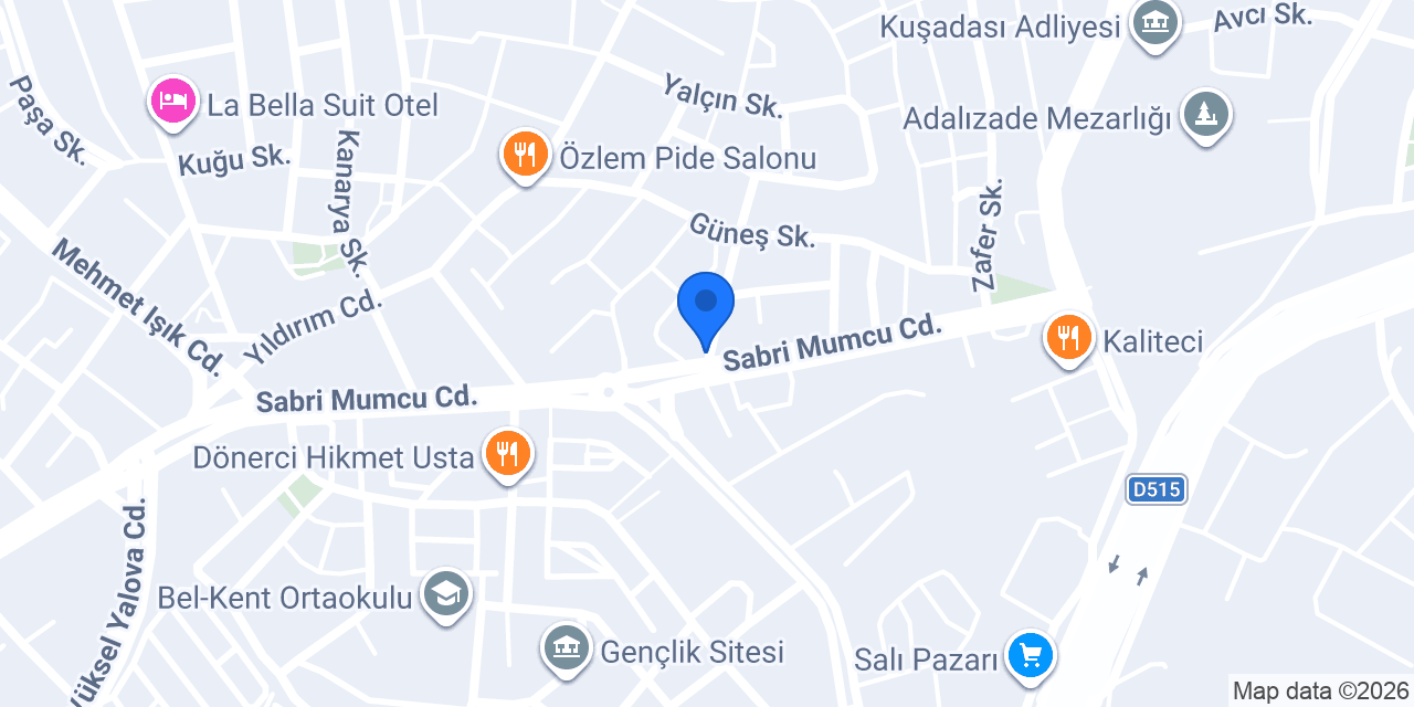 Akademik Sigorta konumu