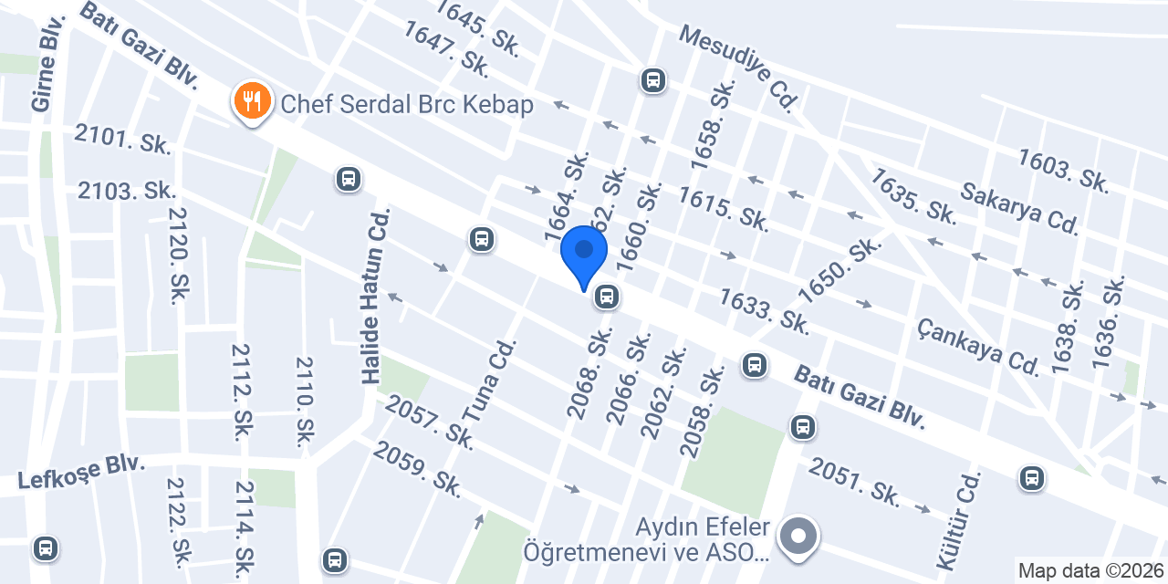 Aydın Egem elektrik konumu