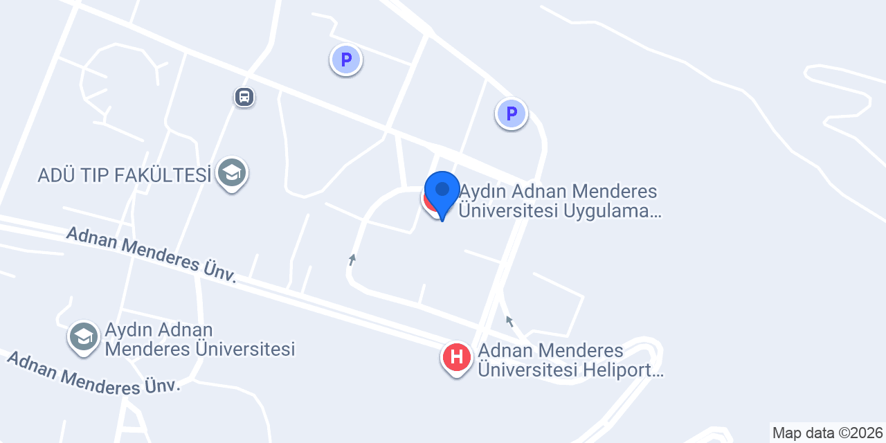 Prof. Dr. Sezen Karaca Özkısacık konumu