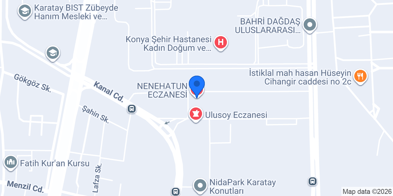 NENEHATUN ECZANESİ konumu