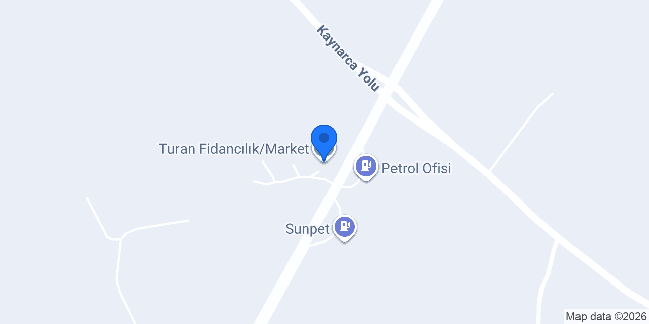 Turan Fidancılık/Market konumu