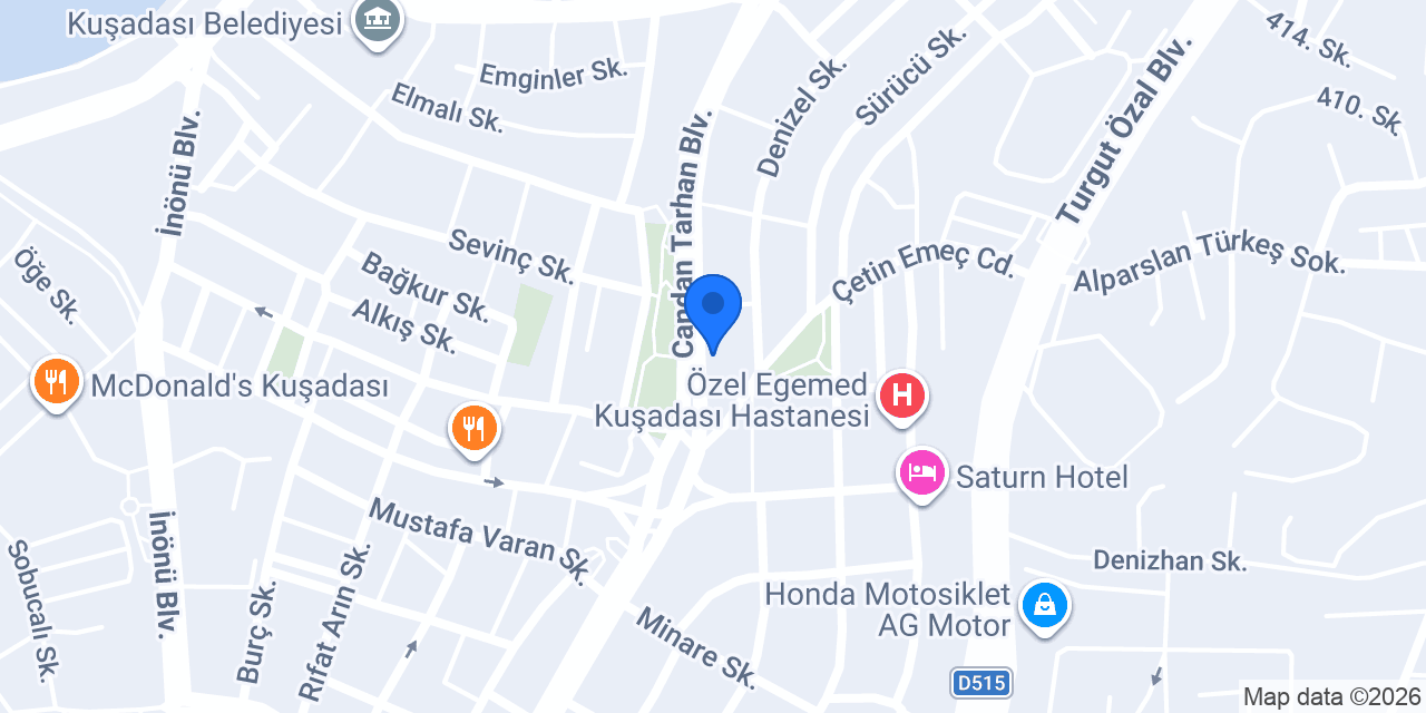 Fion Medya konumu