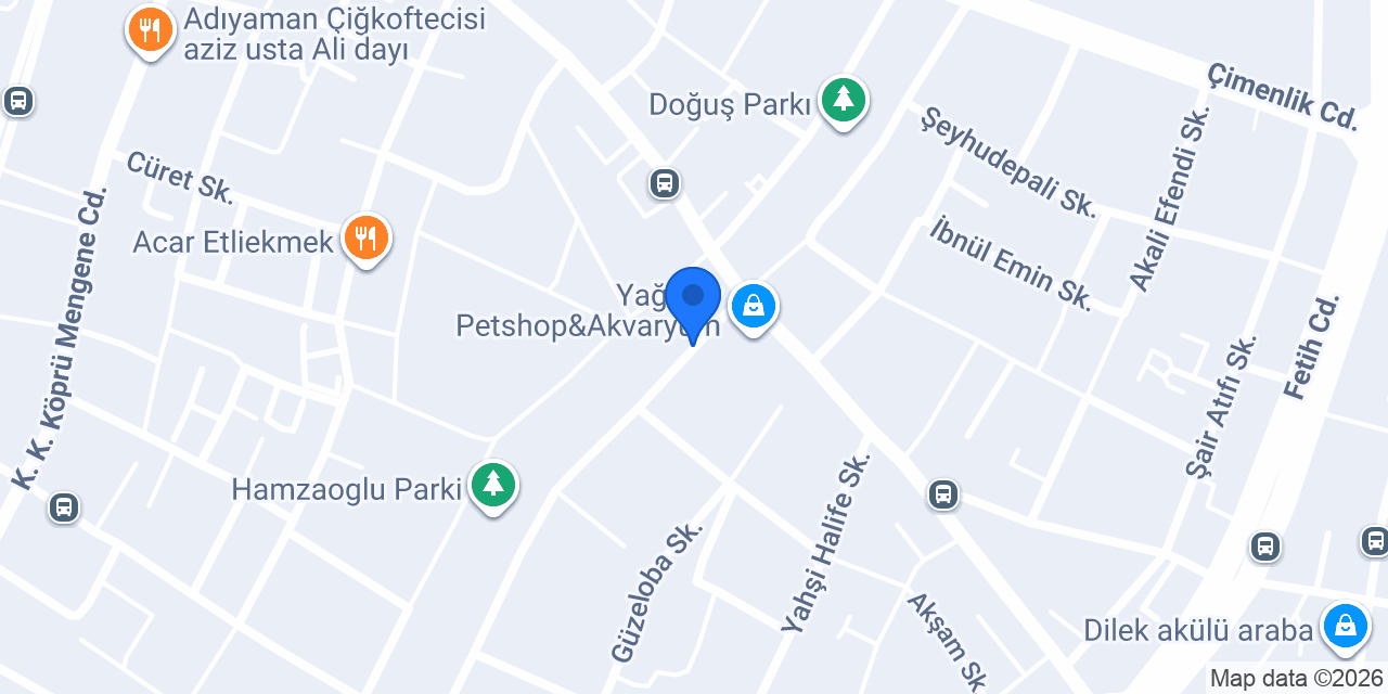 Gence Auto Müzik konumu