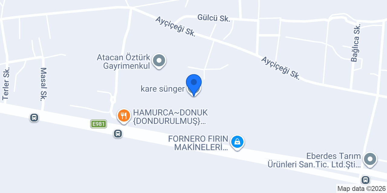 kare sünger konumu