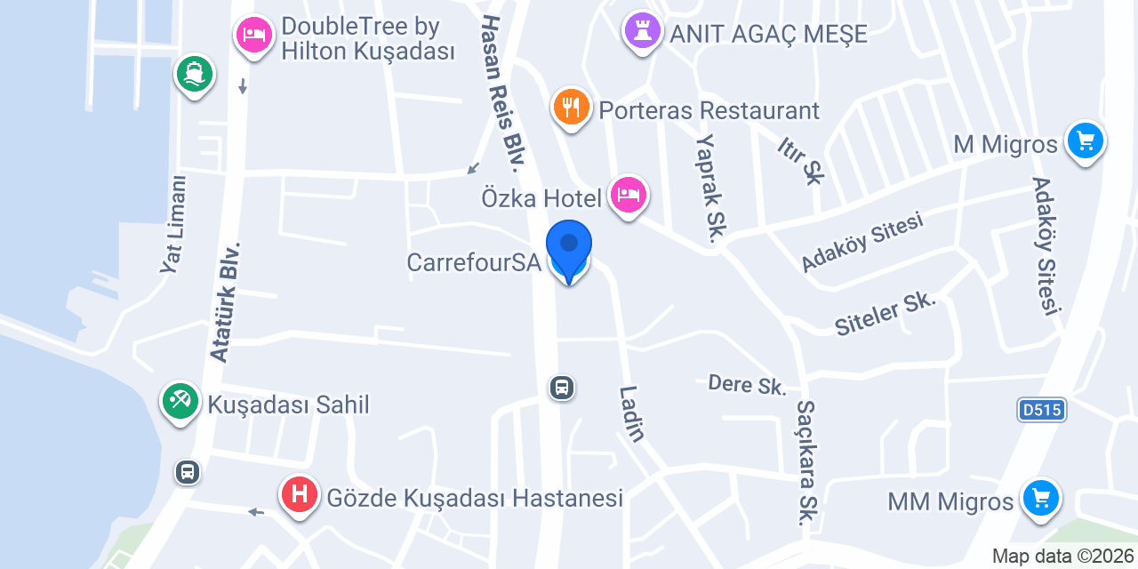 CarrefourSA konumu