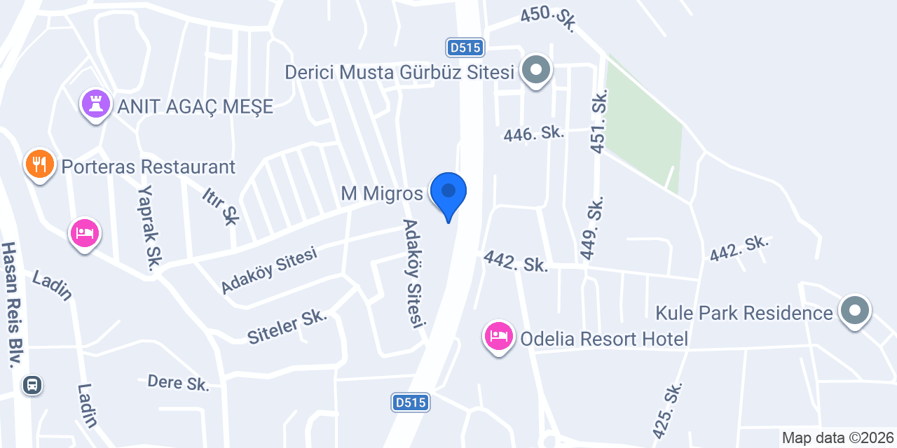 Dr İbrahim Çerçi - Akupunktur konumu