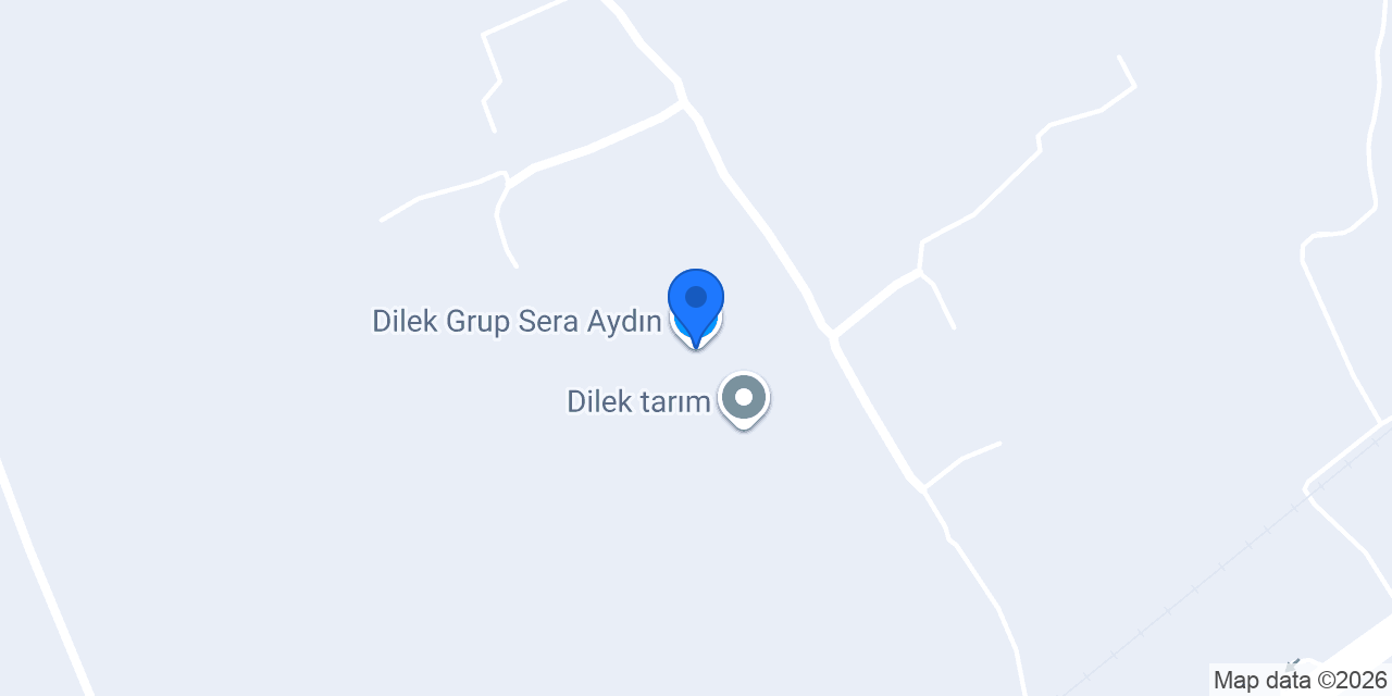 Dilek Grup Sera Aydın konumu