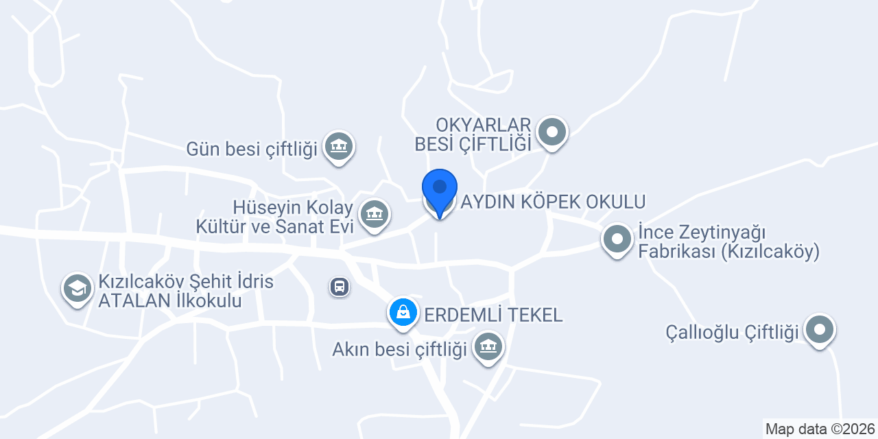 AYDIN KÖPEK OKULU konumu