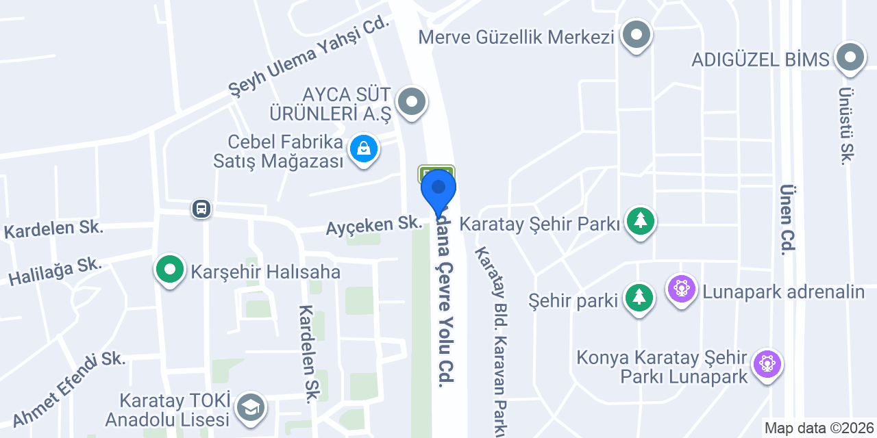 Mollast mobil lastikci konumu