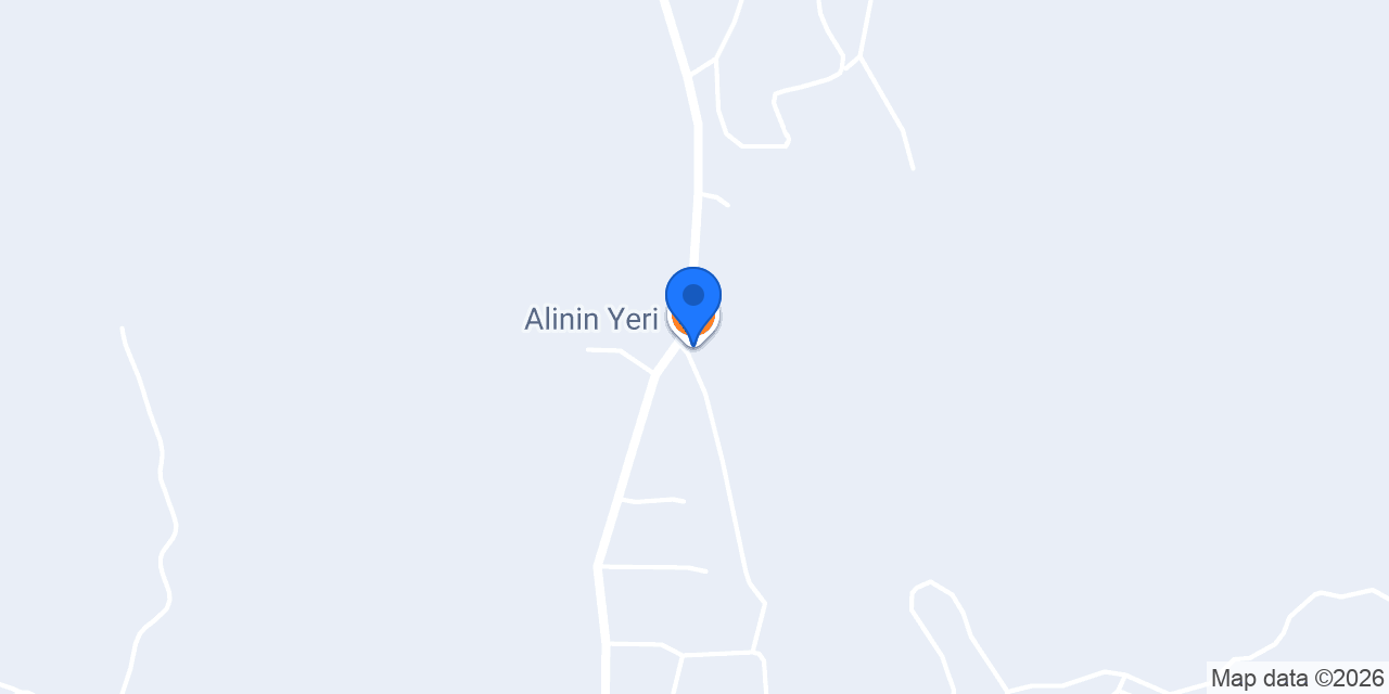 Alinin Yeri konumu