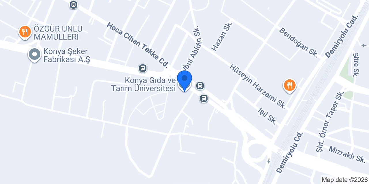 Konya Gıda ve Tarım Üniversitesi konumu