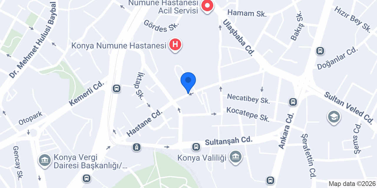 Has taksi konumu