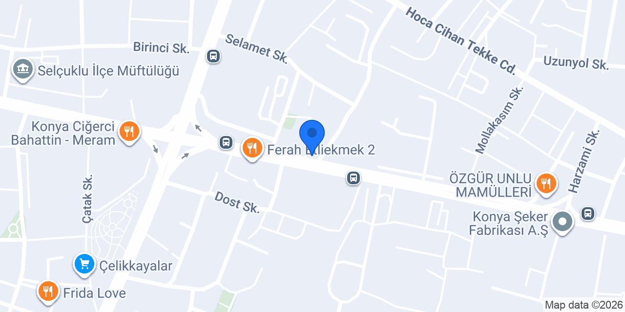 Saide Tülin Yaman konumu