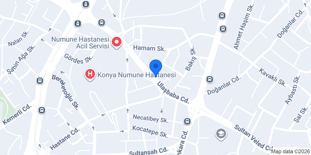 Çankaya Lezzet Evleri konumu