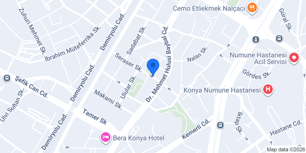 Dünya Elektrik konumu