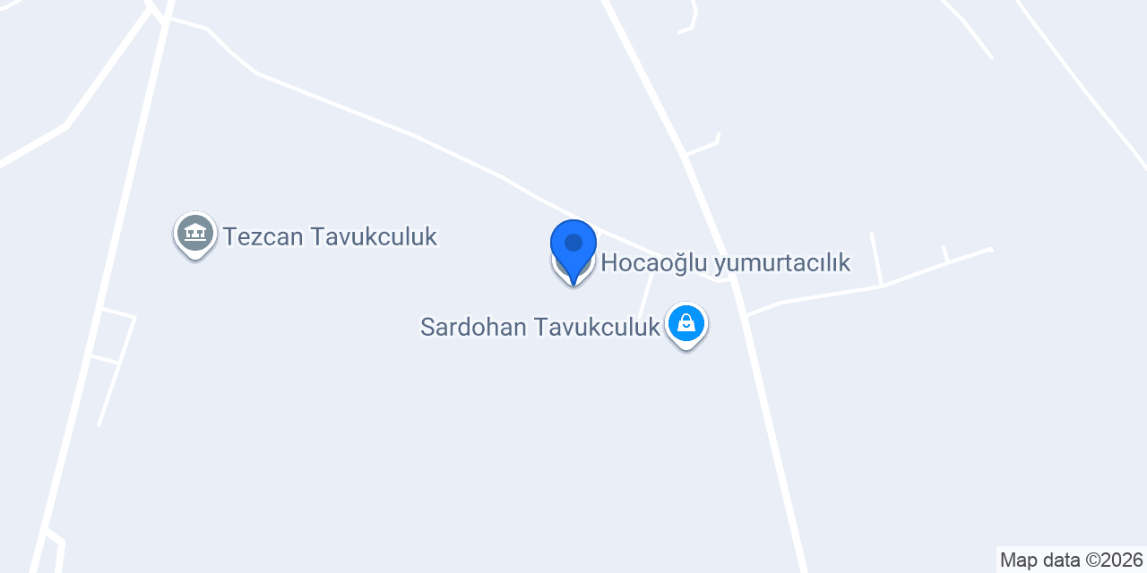 Hocaoğlu yumurtacılık konumu