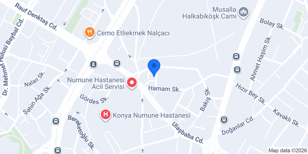 Nergis Organizasyon konumu