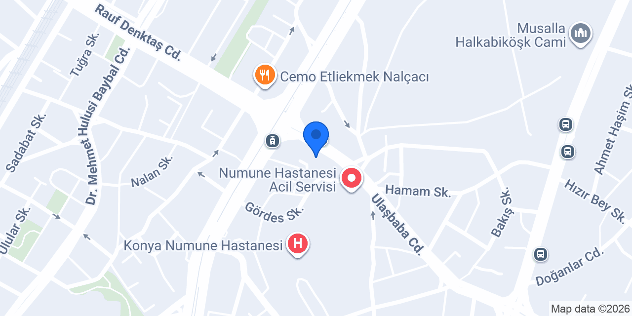 organik hemşin çay evi konumu