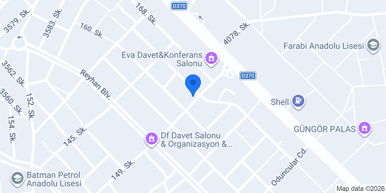 Vizyon Elektrik konumu