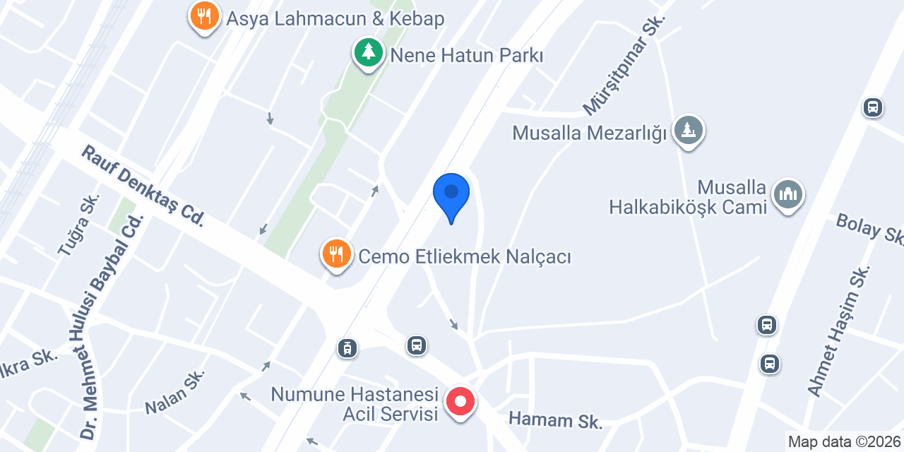 Mavi Rota Sigorta konumu