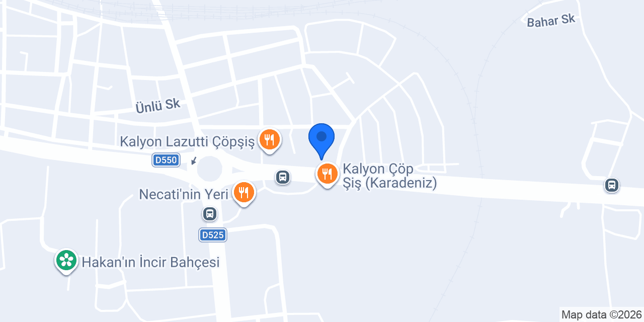 Efe Çöp Şiş konumu