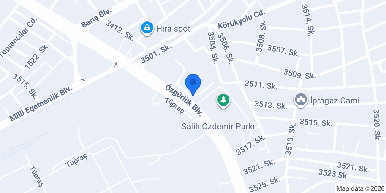 Has Diyarbakır Ciğercisi konumu