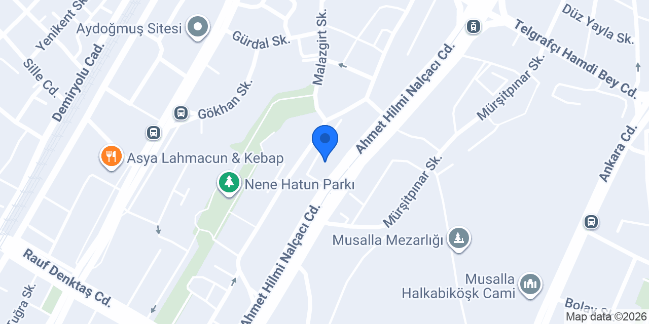 Domino's Pizza Nalçacı konumu