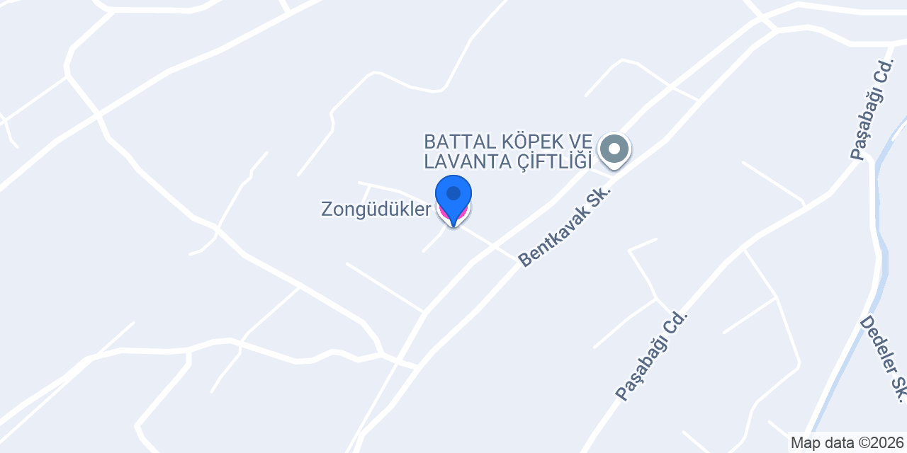 Zongüdükler konumu