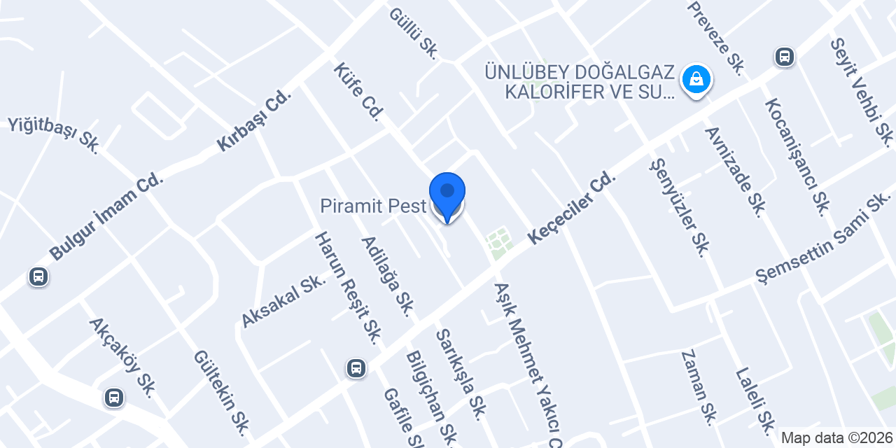 Piramit Pest konumu
