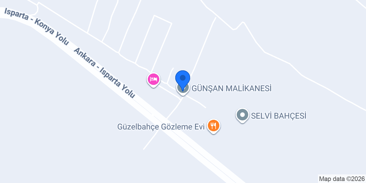 NEZAKET YUMURTA konumu