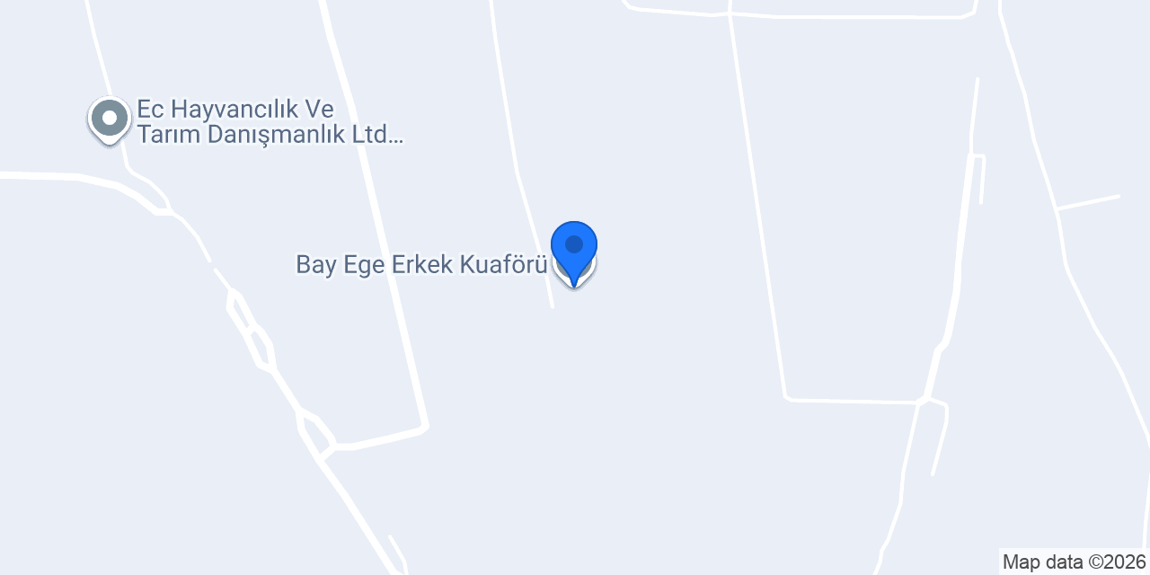 Bay Ege Erkek Kuaförü konumu
