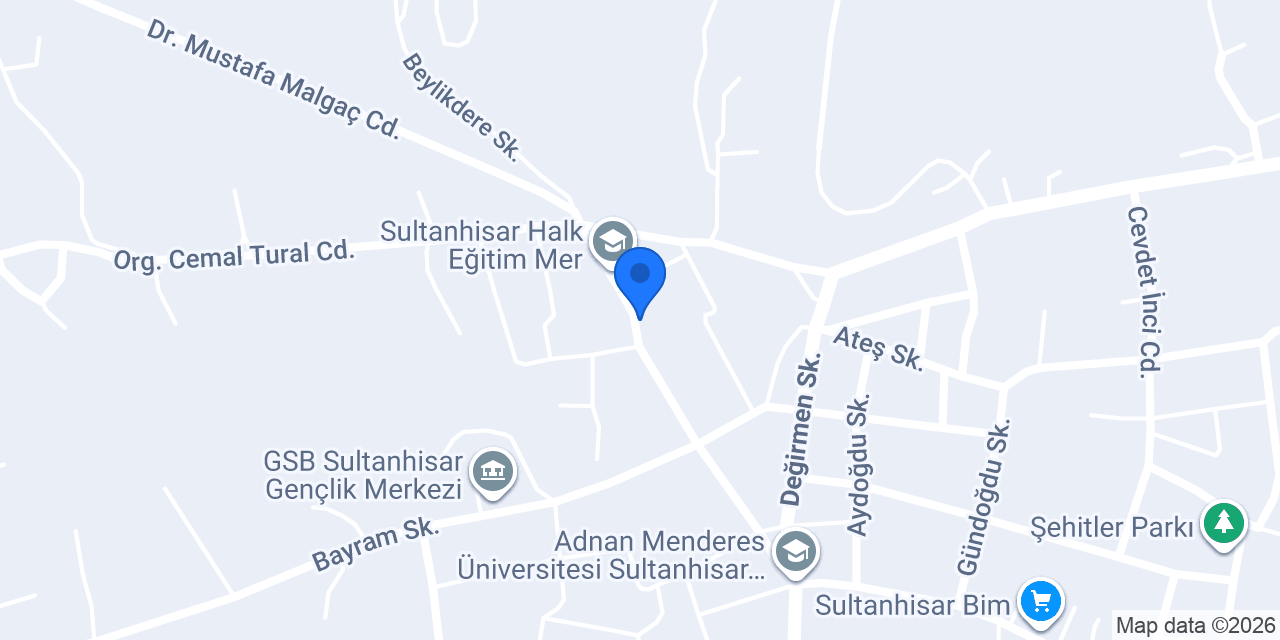 nysa organizasyon konumu