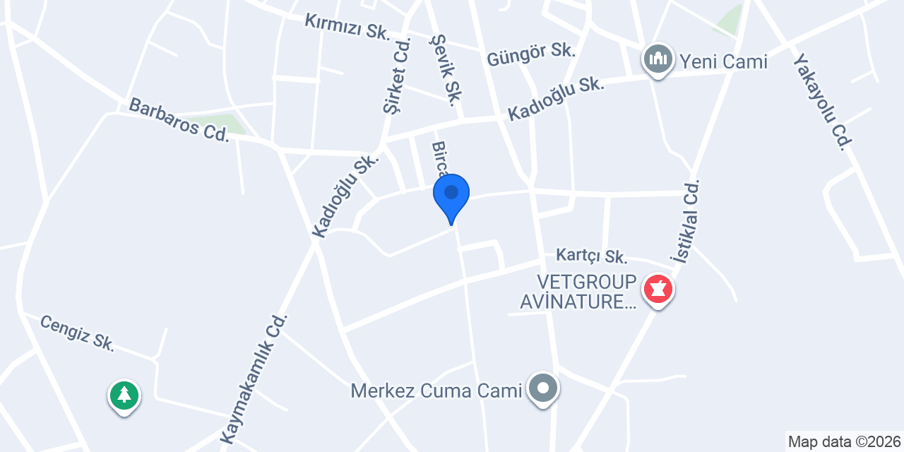 Gönüllü konumu