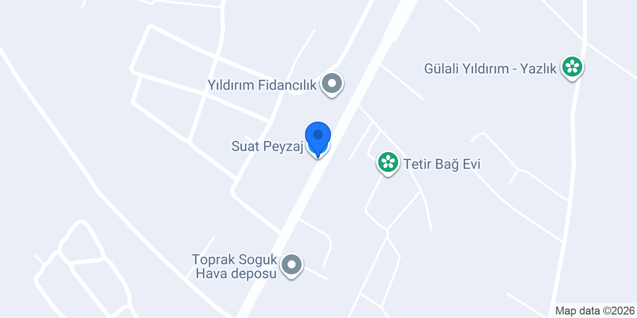 Suat Peyzaj konumu