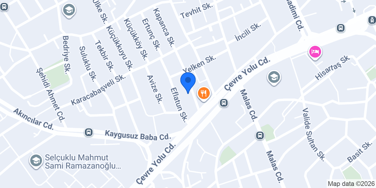 Elegans döşeme konumu