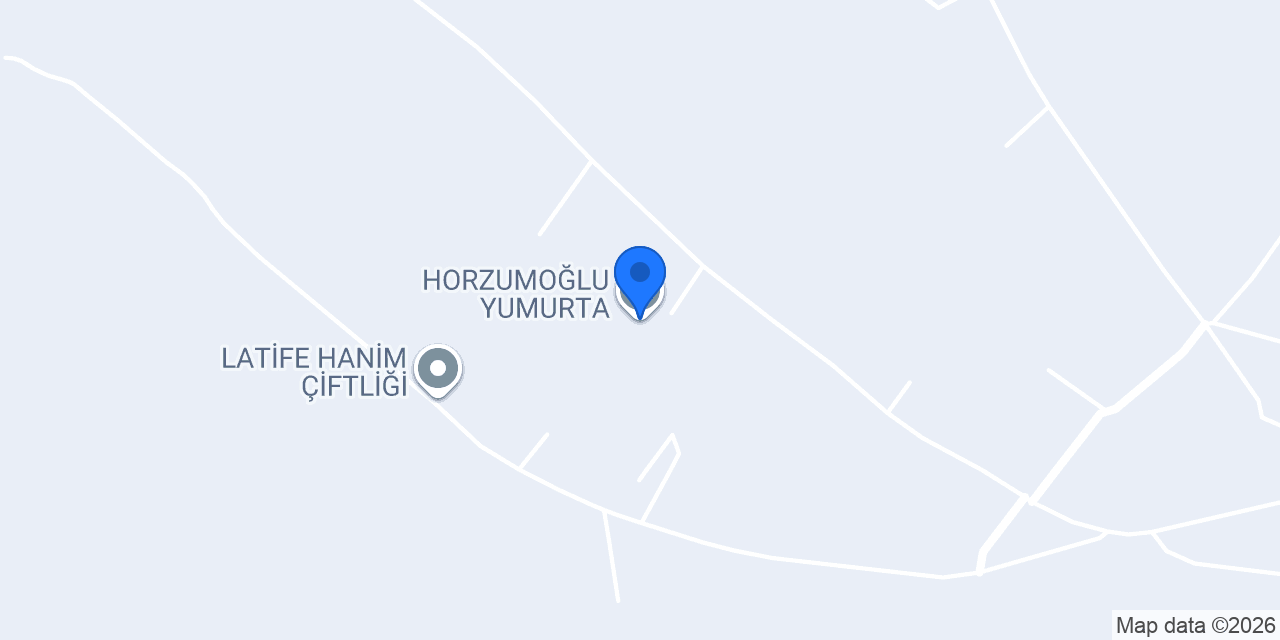 HORZUMOĞLU YUMURTA konumu